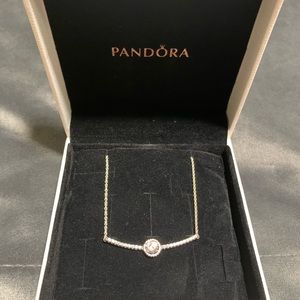 Pandora Necklace